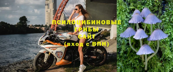 шишки Верхнеуральск