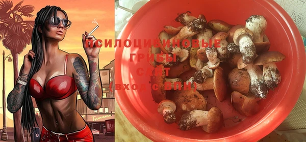 твердый Верея