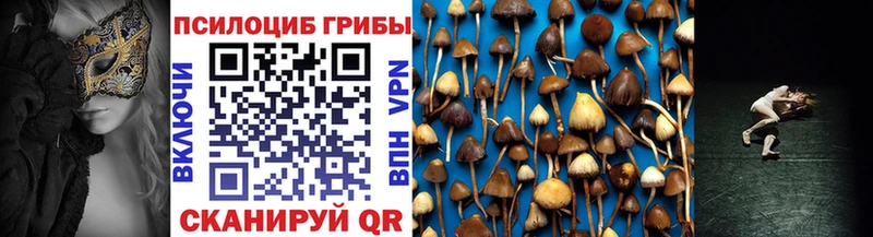 закладка  Рузаевка  Галлюциногенные грибы GOLDEN TEACHER 